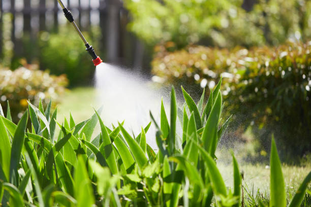 24/7 Emergency Mosquito Control experts in Westmont, NJ