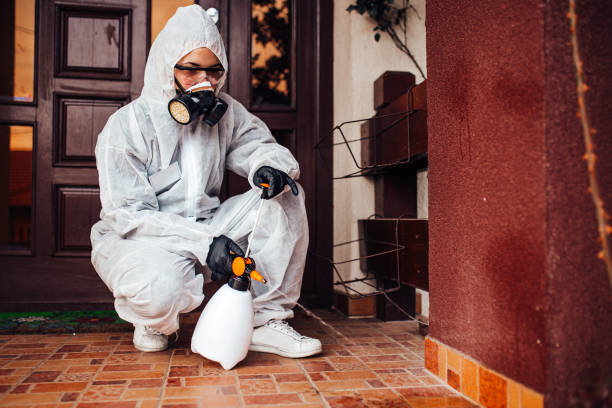 Reliable Mosquito Control contractor in Westmont, NJ by Show Me Pest Control
